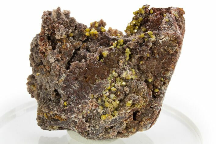 Yellow-Orange Mimetite on Druzy Quartz - Republic of the Congo #312401